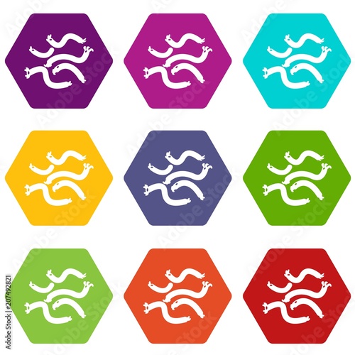 Escherichia coli virus icons 9 set coloful isolated on white for web