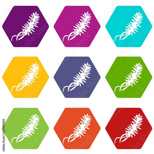 E coli bacteria icons 9 set coloful isolated on white for web