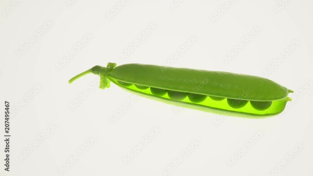 Young green pea on a white background ,b-roll footage for making changes Young green pea on a white background ,b-roll footage for making changes