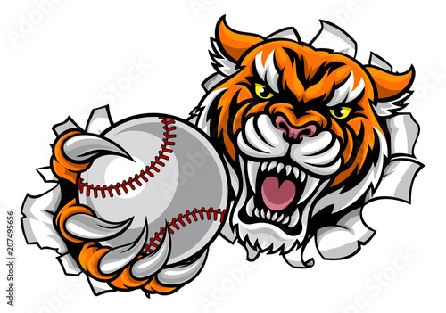 Tiger Holding Baseball Ball Breaking Background