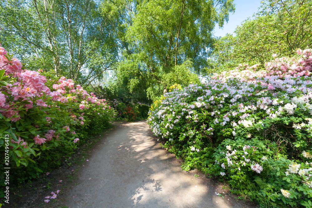 Public park in The Hague is surrounded by beautiful colorful flowers. It's great place for hiking.