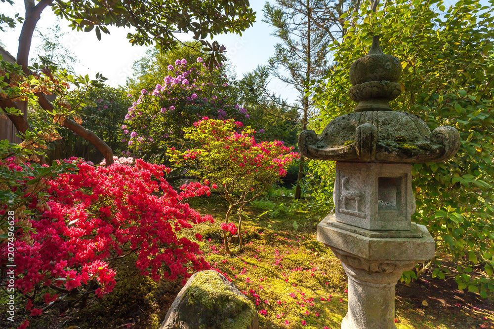 Japanese garden (Clingendaen) is spectacular public park in The Hague city Japanese garden (Clingendaen) is spectacular public park in The Hague city