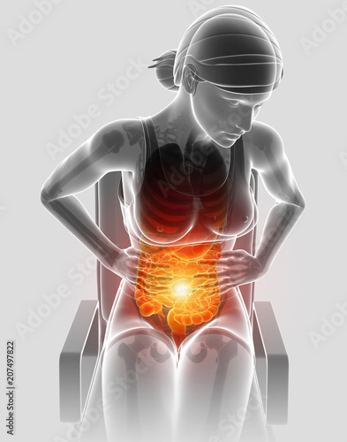 3d Illustration of Female Feeling the Stomachache