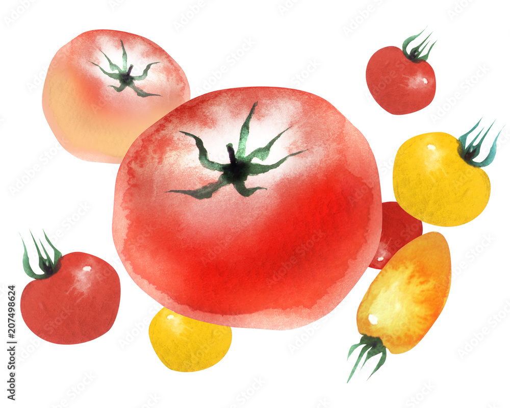 夏 野菜 トマト 水彩 イラスト Stock イラスト Adobe Stock