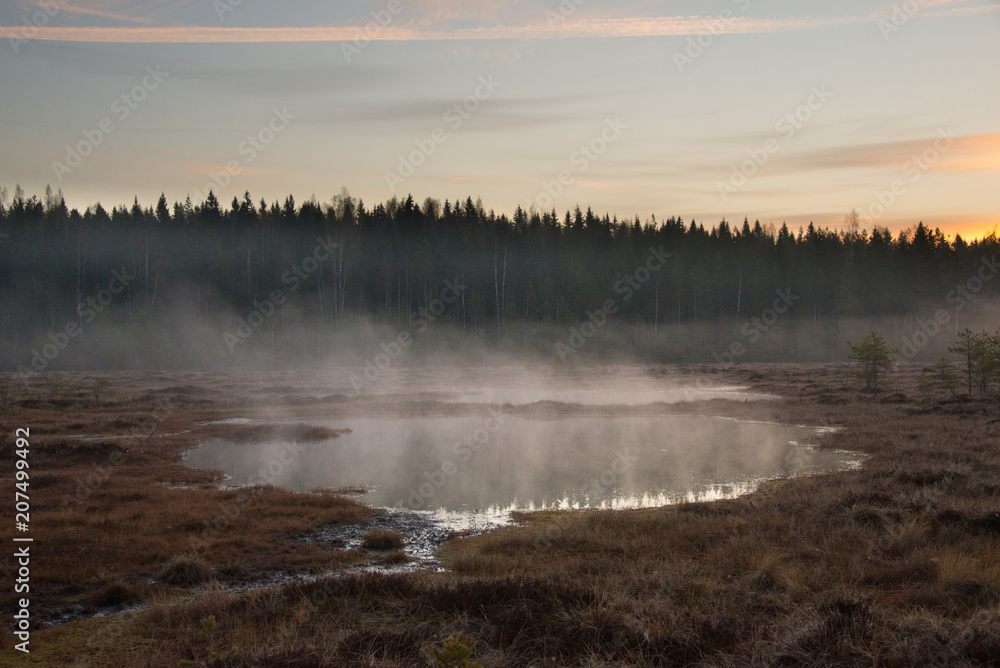 Misty before the sunrise