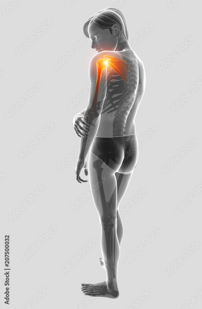 3d Illustration of Male Feeling the Shoulder Pain 3d Illustration of Male Feeling the Shoulder Pain