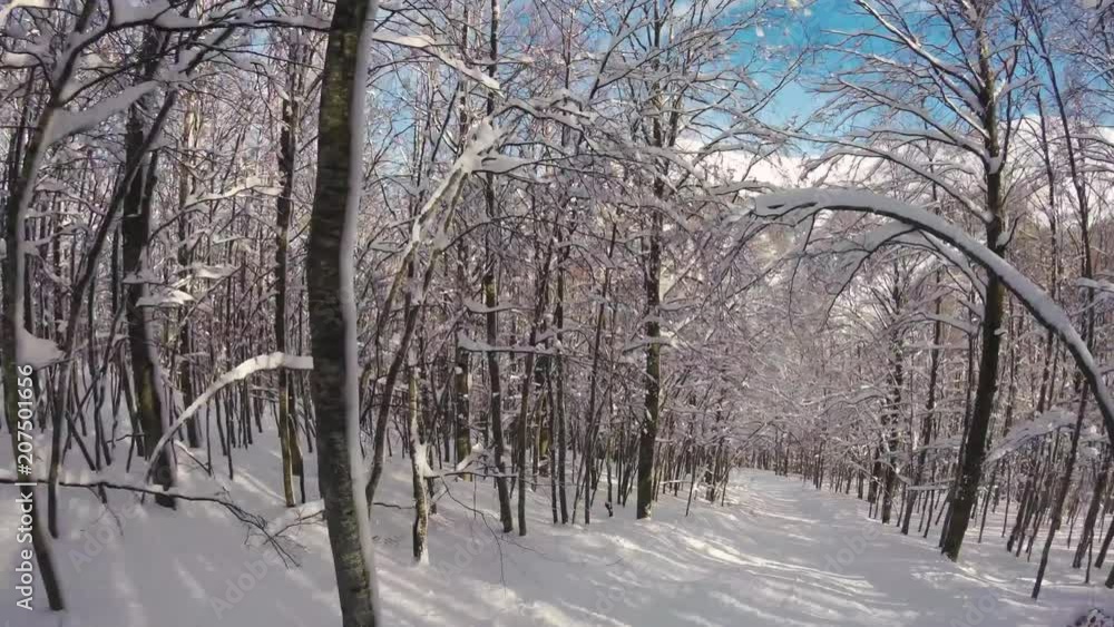 A skier skiing in the wood in mountains, action camera footage A skier skiing in the wood in mountains, action camera footage
