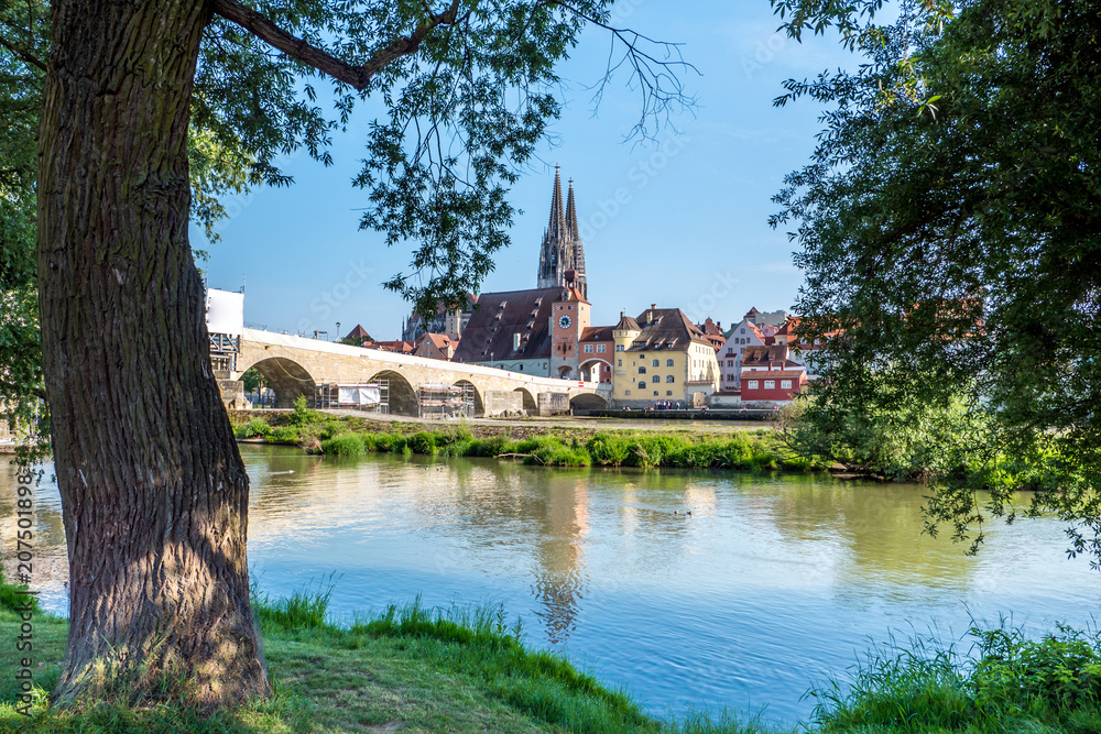 Fototapeta premium Am Ufer der Donau in Regensburg