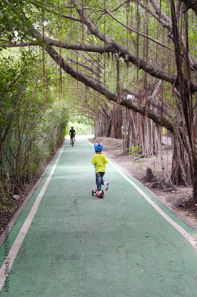 Fototapeta premium green bike lane in the garden