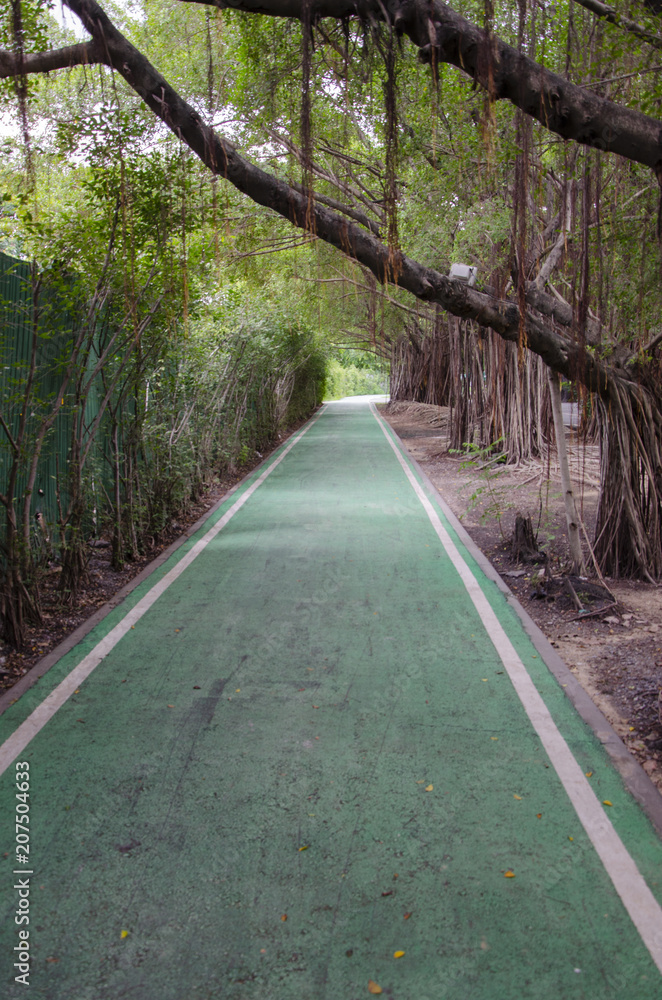 green bike lane in the garden