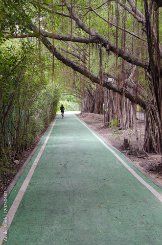 green bike lane in the garden