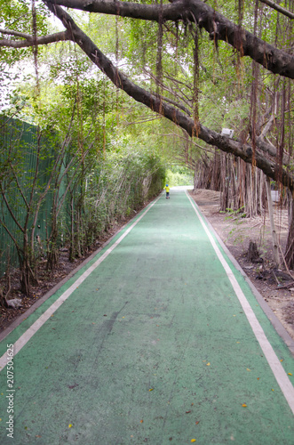 green bike lane in the garden