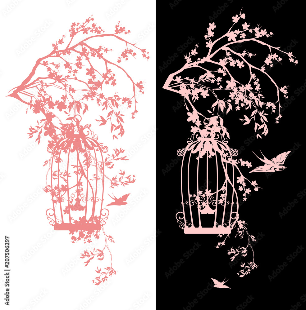 Obraz premium bird cage among sakura blossom - spring season blooming garden vector design