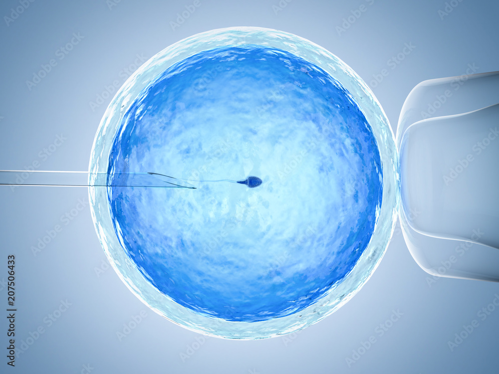 custom made wallpaper toronto digitalartificial insemination or ivf