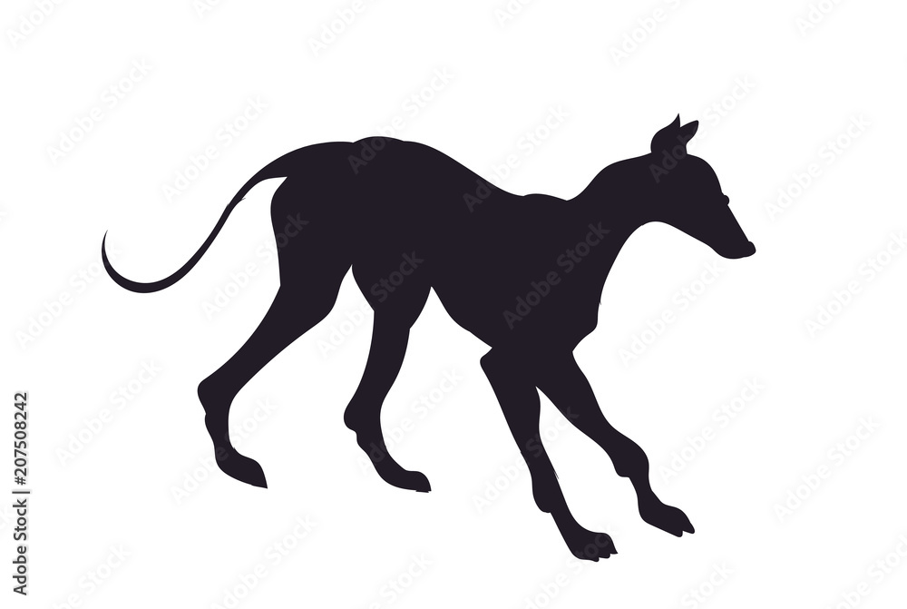 Obraz premium dog stands, silhouette, vector