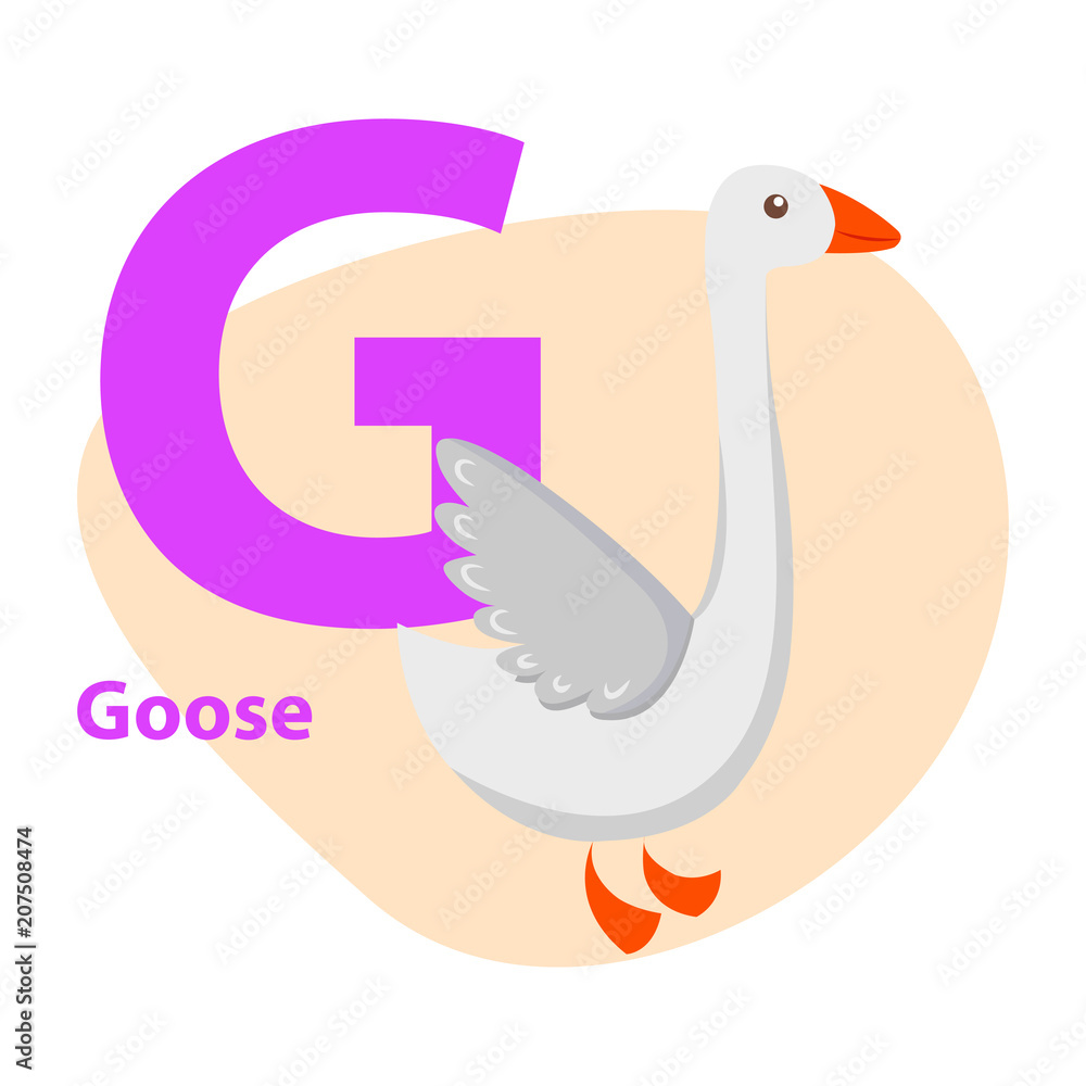 Zoo ABC Letter with Cute goose Cartoon Vector Zoo ABC Letter with Cute goose Cartoon Vector
