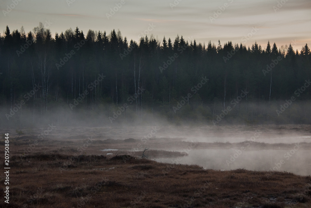 Misty before the sunrise