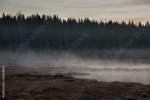 Fototapeta Naklejka Na Ścianę i Meble -  Misty before the sunrise