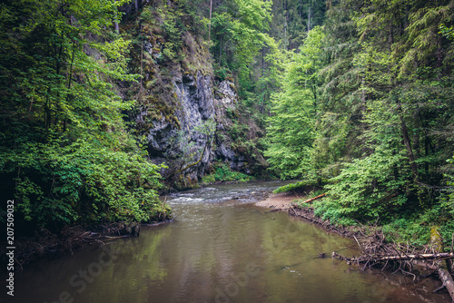 Hornad River gorge in Slovak Paradise mountain range in Slovakia