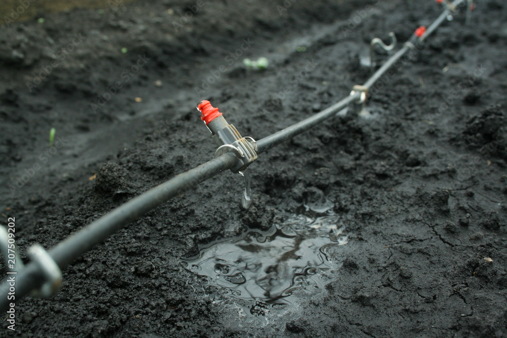 Naklejka premium Irrigation system close up