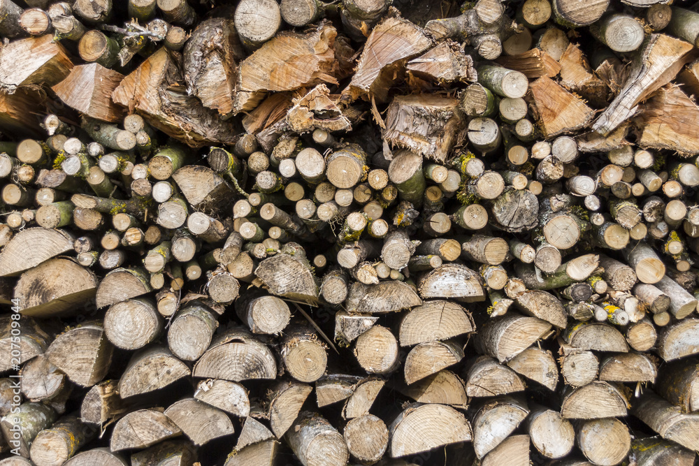 Unterschiedlich große von einem Baumstamm gesägte und gespaltenene Stücke Holz auf einem Stapel Unterschiedlich große von einem Baumstamm gesägte und gespaltenene Stücke Holz auf einem Stapel