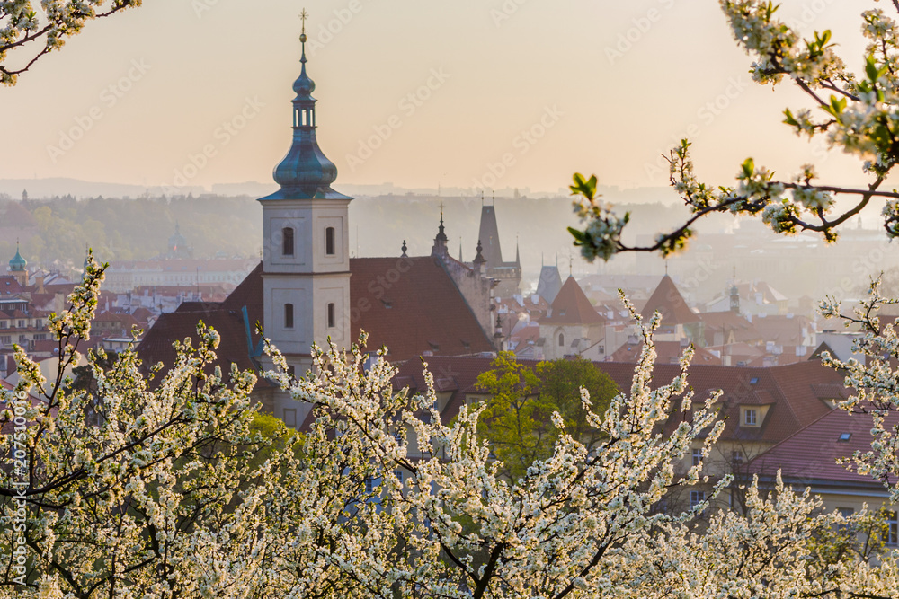 Naklejka premium Prague cityscape. A beautiful spring morning when the gardens blossom on Petrin hill in Prague, Czech Rupublic