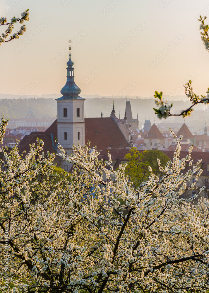 Obraz premium Prague cityscape. A beautiful spring morning when the gardens blossom on Petrin hill in Prague, Czech Rupublic 