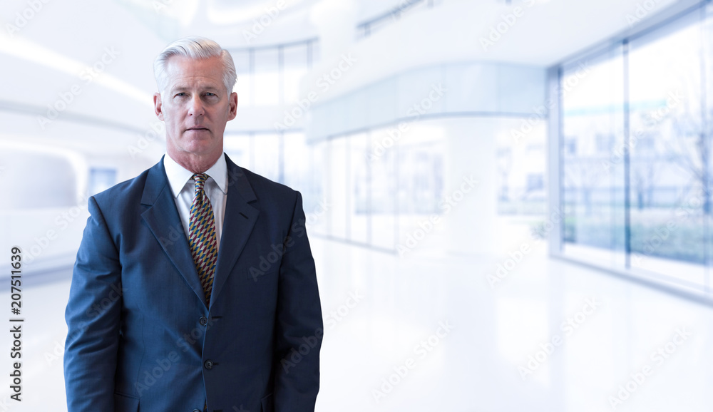 Senior businessman in his office Senior businessman in his office