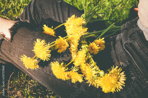 Bouquet of yellow dandelions on the girl's legs in the green park