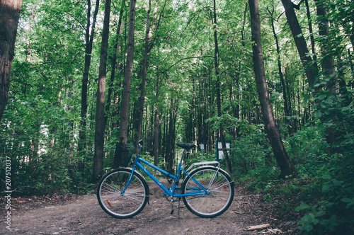 Blue bicycle without people in the morning forest