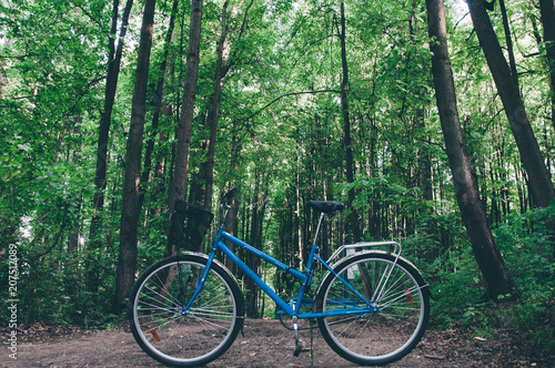 Blue vintage bicycle without people in the morning forest