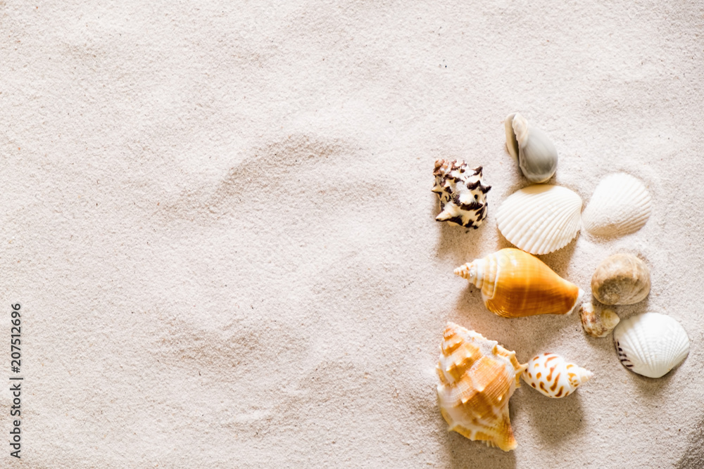 Summer beach with a lot of seashells, starfish and sand as background. Sea shells. Travel and summer concept. Summer beach with a lot of seashells, starfish and sand as background. Sea shells. Travel and summer concept.