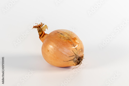 Single unpeeled onion in front of white background photo