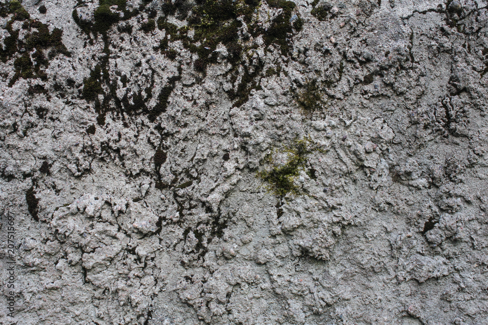 the surface of old concrete slab covered with moss the surface of old concrete slab covered with moss