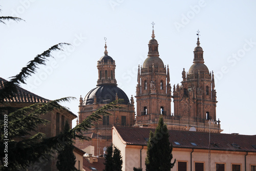 New Cathedral of Salamanca, Spain