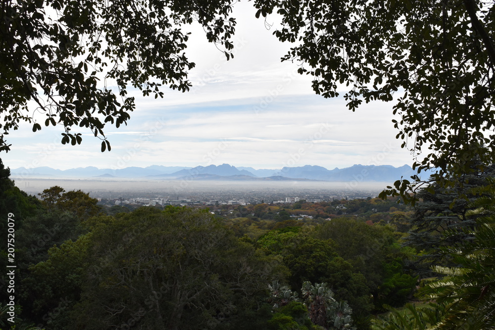 Landscape at the Botanical Garden with the city in background in Cape Town in South Africa