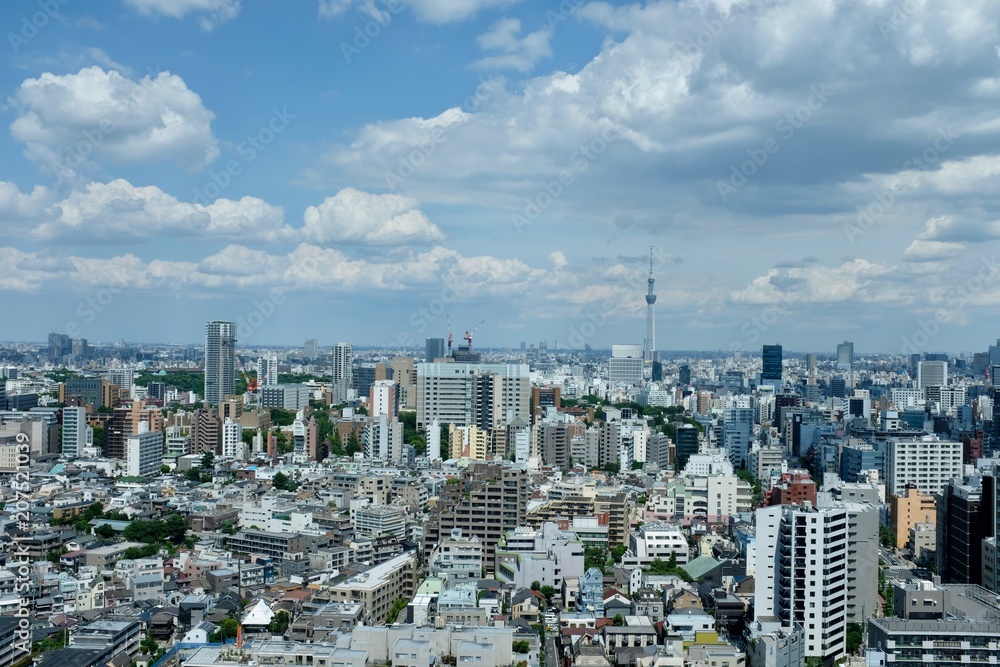 Fototapeta premium 東京百景