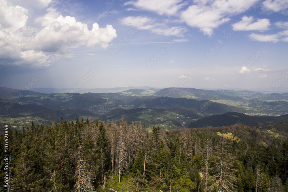 Beautiful summer mountain landscape, in the blue purple sky, a lot of big white clouds