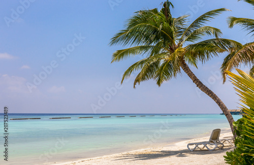 Fototapeta Naklejka Na Ścianę i Meble -  Blue lagoon and tropical island in Maldives