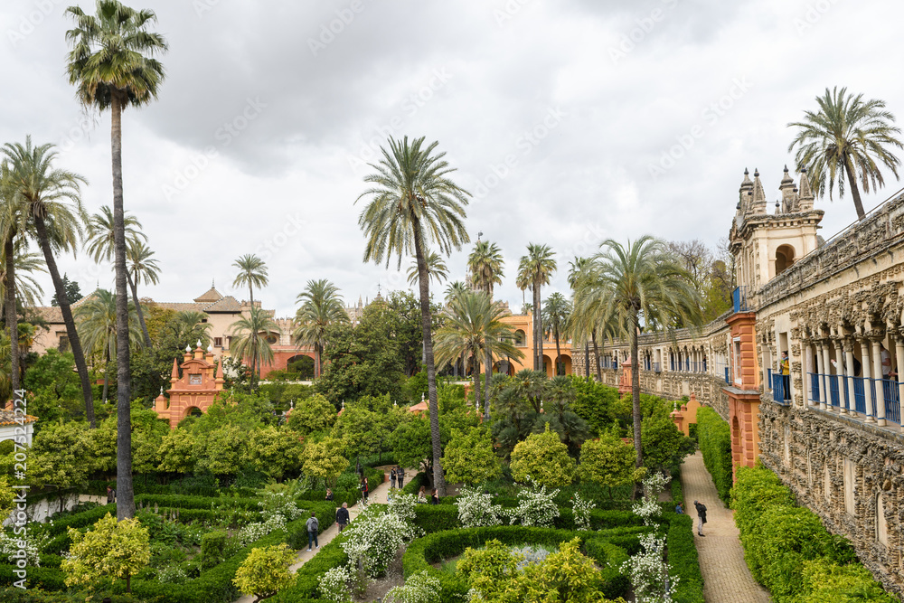Fototapeta premium botanical gardens of royal Alcazar o Seville, Spain