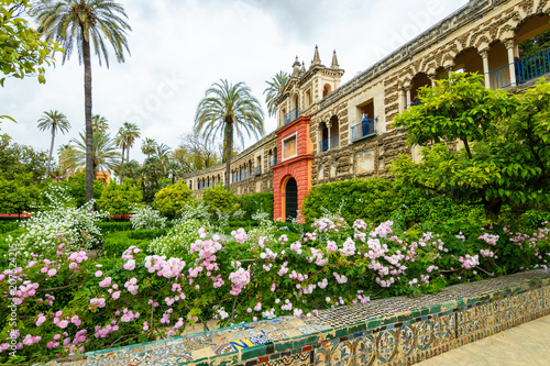 botanical gardens of royal Alcazar o Seville, Spain photo