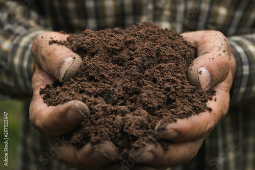 closeup hand of person holding abundance soil for agriculture or planting peach. photo