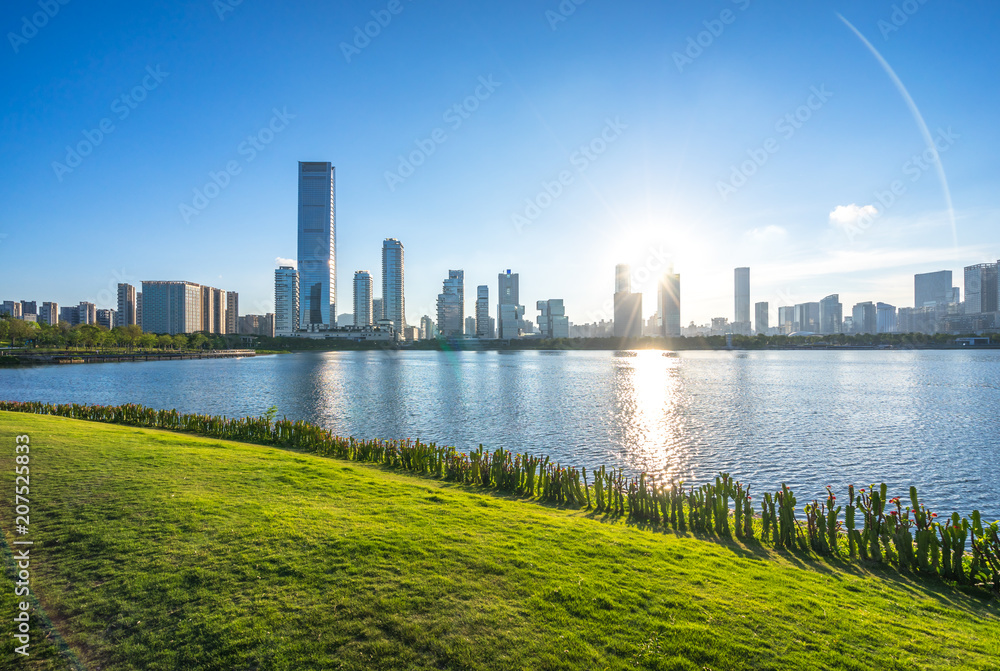 Obraz premium green lawn with city skyline in park