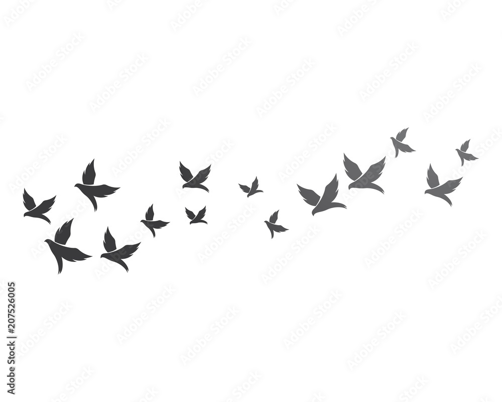 Bird background Template vector Bird background Template vector