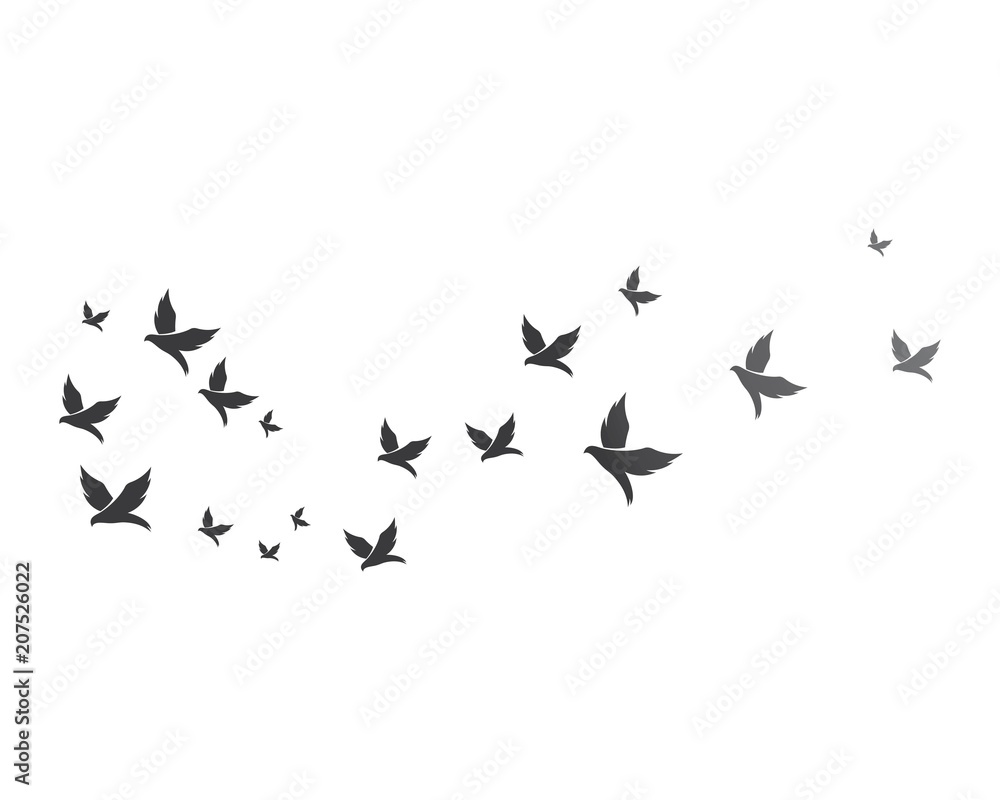 Fototapeta premium Bird background Template vector