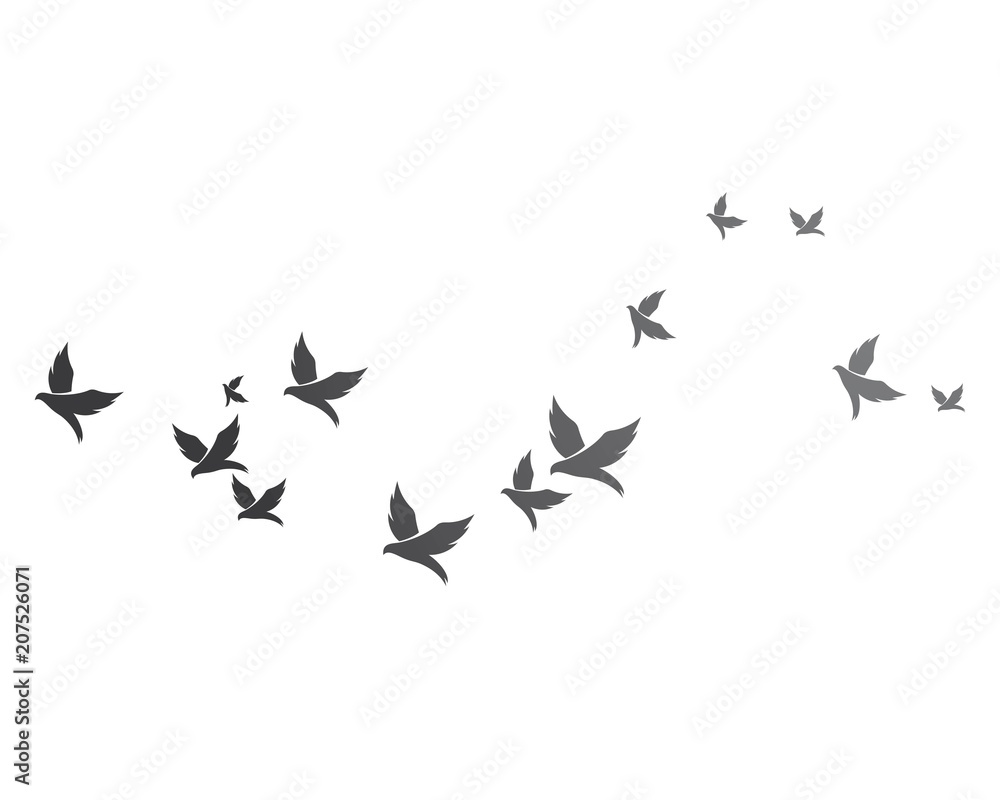Bird background Template vector Bird background Template vector