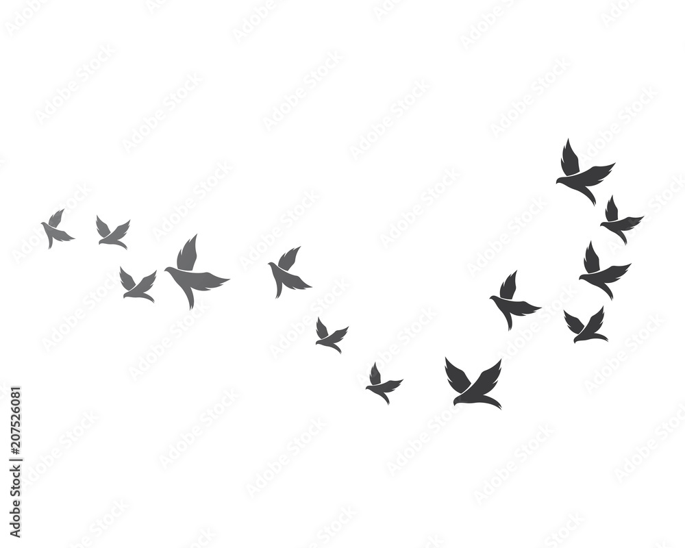 Bird background Template vector Bird background Template vector