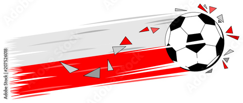 Fußball WM Polen