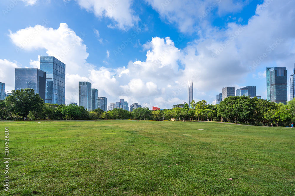 green lawn with city skyline in park green lawn with city skyline in park