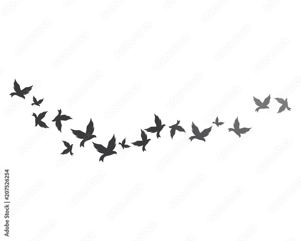 Obraz premium Bird background Template vector